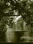 1130-0134; 2589 x 3452 pix; Koszalin, fontanna, park, drzewo, woda, Europa, Polska