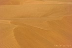 1BBG-0110; 4288 x 2848 pix; Azja, Indie, pustynia, pustynia Thar, Thar, wydma, piasek