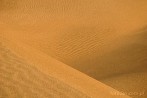 1BBG-0120; 4288 x 2848 pix; Azja, Indie, pustynia, pustynia Thar, Thar, wydma, piasek