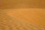 1BBG-0122; 4288 x 2848 pix; Azja, Indie, pustynia, pustynia Thar, Thar, wydma, piasek