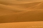 1BBG-0124; 4288 x 2848 pix; Azja, Indie, pustynia, pustynia Thar, Thar, wydma, piasek