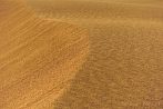 1BBG-0150; 4167 x 2767 pix; Azja, Indie, pustynia, pustynia Thar, Thar, wydma, piasek