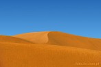 1BBG-0500; 4288 x 2848 pix; Azja, Indie, pustynia, pustynia Thar, Thar, wydma, piasek, niebo