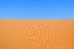 1CD1-1250; 4288 x 2848 pix; Afryka, Maroko, Sahara, pustynia, piasek