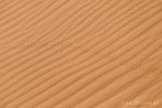 1CD1-2705; 4288 x 2848 pix; Afryka, Maroko, Sahara, pustynia, piasek, lad, trop