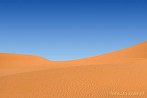 1CD1-1290; 4288 x 2848 pix; Afryka, Maroko, Sahara, pustynia, wydma, piasek