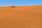 Afryka; Maroko; Sahara; pustynia; wydma; piasek; lad