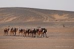 1CD1-2110; 3430 x 2278 pix; Afryka, Maroko, Sahara, wielbd, pustynia, karawana