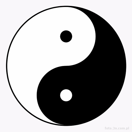 yin; yang; symbol yin yang