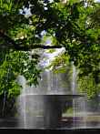 1130-0132; 2589 x 3452 pix; Koszalin, fontanna, park, drzewo, woda, Europa, Polska