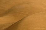 1BBG-0160; 4288 x 2848 pix; Azja, Indie, pustynia, pustynia Thar, Thar, wydma, piasek