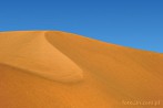 1BBG-0510; 4288 x 2848 pix; Azja, Indie, pustynia, pustynia Thar, Thar, wydma, piasek, niebo