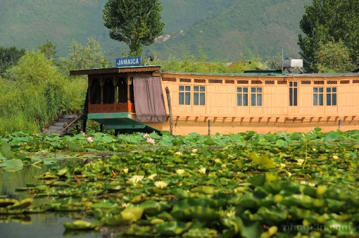 Azja; Indie; Srinagar; jezioro Dal; dom na odzi