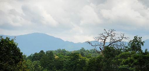 Azja; Nepal; Chitwan National Park; chmury; gry