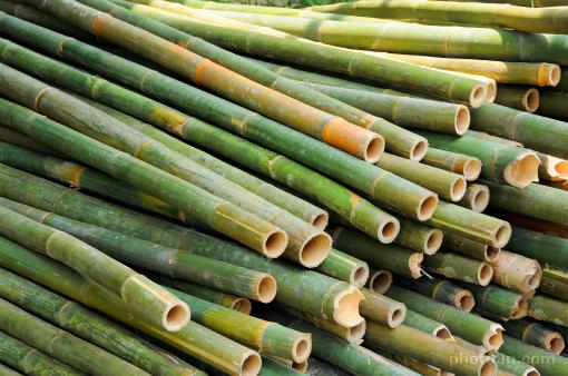 Azja; Malezja; bambus
