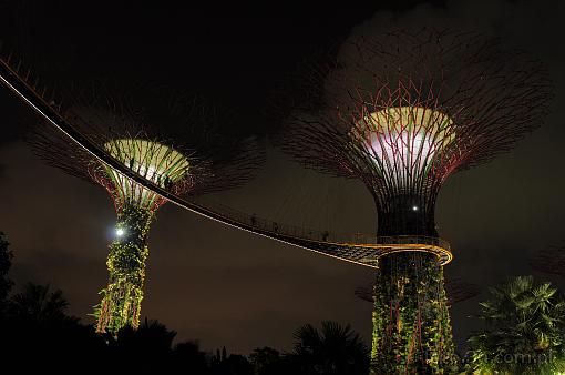 Azja; Singapur; Gardens by the Bay; Ogrody w zatoce