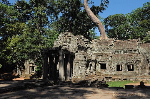 Azja; Kamboda; Angkor; Ta Prohm; witynia Ta Prohm; witynia