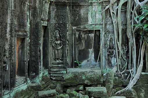 Azja; Kamboda; Angkor; Ta Prohm; witynia Ta Prohm; witynia