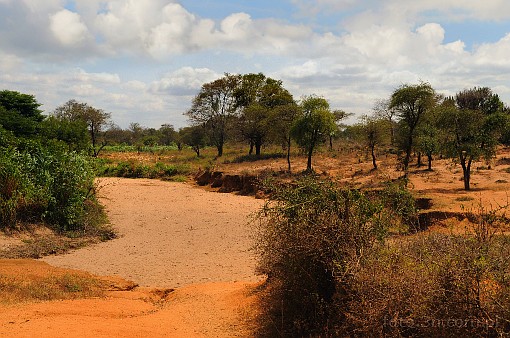 Afryka; Kenia; koryto rzeki