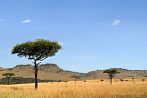 1CA1-0280; 3573 x 2373 pix; Afryka, Kenia, Masai Mara, góry, sawanna