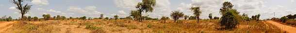 1CA1-1140; 19504 x 2245 pix; Afryka, Kenia, busz