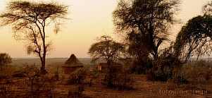 1CA1-0970; 4287 x 1987 pix; Afryka, Kenia, zachód, s³oñce, zachód s³oñca, busz