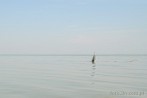 Afryka; Kenia; jezioro Victoria; sie rybacka