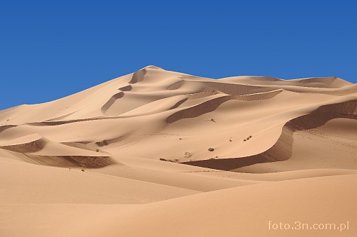Afryka; Maroko; Sahara; pustynia; wydma; piasek