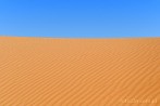 1CD1-1260; 4288 x 2848 pix; Afryka, Maroko, Sahara, pustynia, piasek