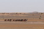 1CD1-2120; 3265 x 2168 pix; Afryka, Maroko, Sahara, wielbd, pustynia, karawana
