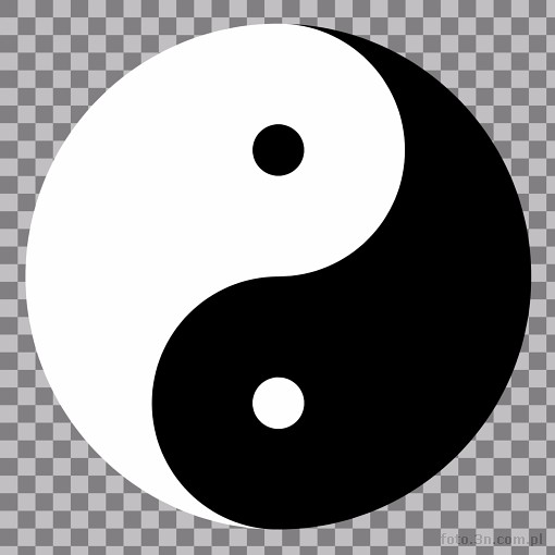 yin; yang; symbol yin yang