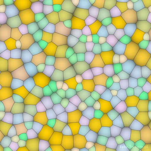 mozaika; komórka; podzia³ komórkowy; cz±steczka; moleku³a