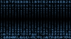 abstrakcja; technologia; szyfr; szyfrowanie; rebus; zagadka; Internet; komputer; kod; program; kod programu; kod maszynowy; kod dwójkowy; kod binarny; tajemnica; monitor; znaki na monitorze; błękitne znaki; poświata