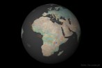 globus; Ziemia; Afryka; siatka kartograficzna